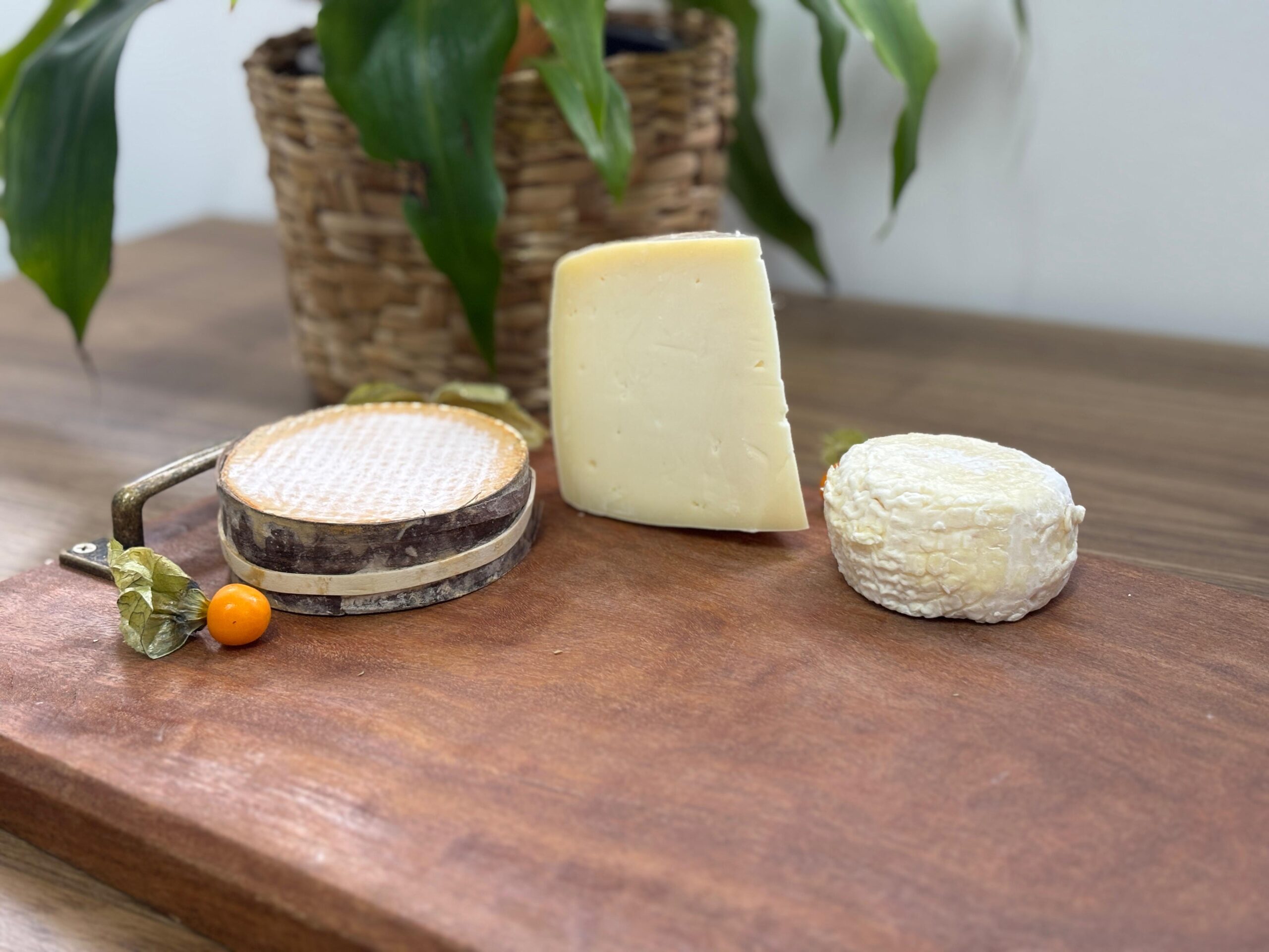 Queijos brasileiros trazem 50 medalhas do Mundial na Suíça e movimentam agronegócio