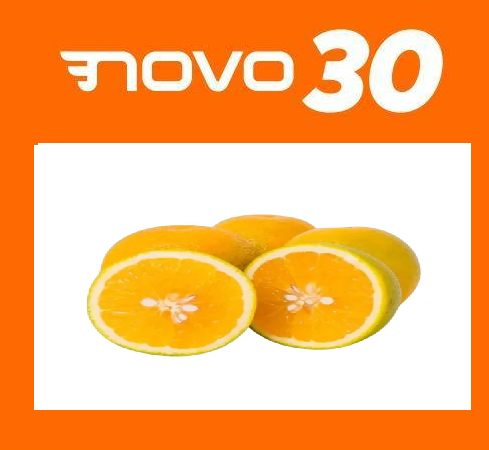 Candidatura laranja no Novo em Maringá?