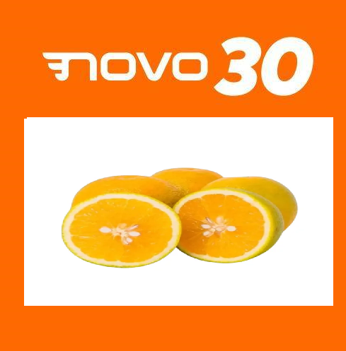 Candidatura laranja no Novo em Maringá?