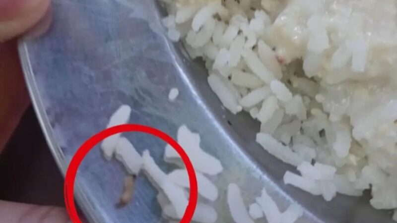 Merenda de Colégio Estadual Cívico Militar tem até larva no Paraná?