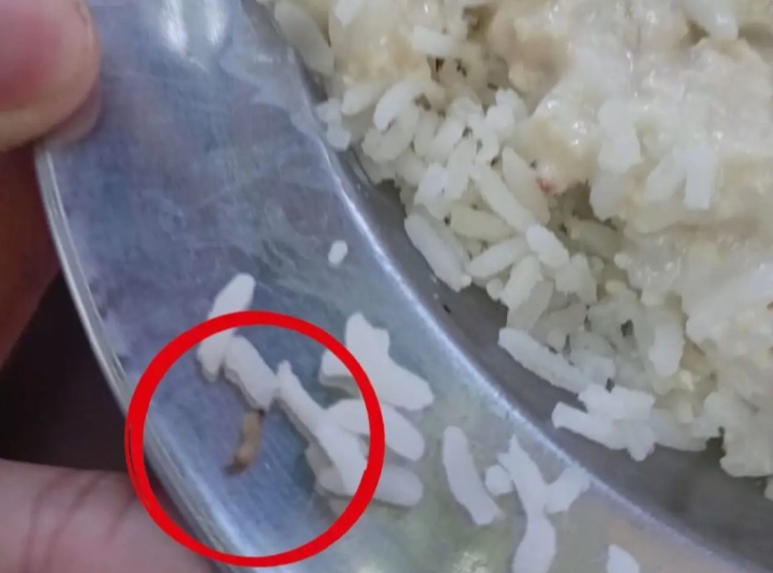 Se tem Ratinho no Governo, tem larva na merenda de colégio cívico-militar?