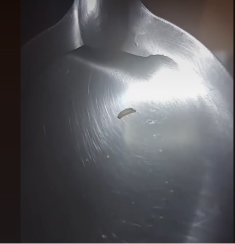 Ex-funcinário da Sanepar  denuncia suposta contaminação da água em Ponta Grossa e critica atuação da Sanepar