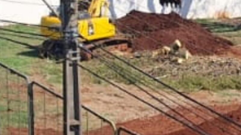Análise da documentação sobre o corte de àrvores na Sociedade Rural de Maringá