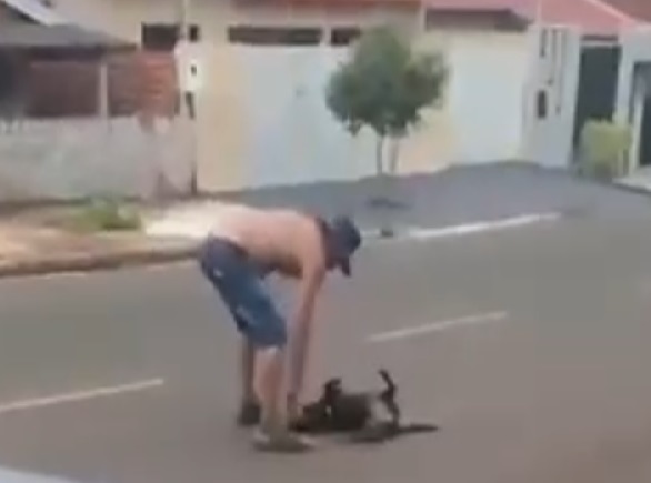 Vídeo causa revolta: homem é preso após suspeita de matar animal em rua de Santo Inácio