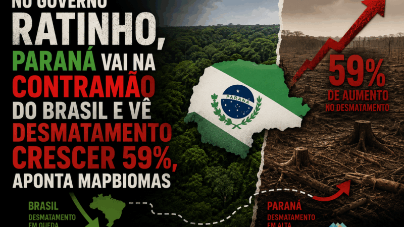 No governo Ratinho, Paraná vai na contramão do Brasil e vê desmatamento crescer 59%, aponta MapBiomas