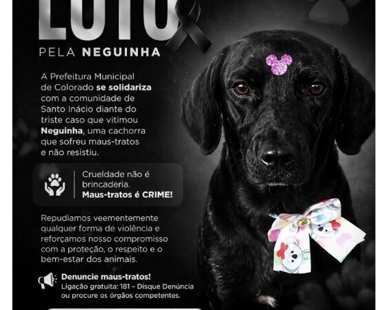 Colorado se manifesta sobre caso Neguinha; gestão Geny Violatto segue em silêncio em Santo Inácio