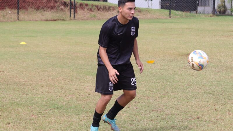 Galo Maringá anuncia primeiros reforços para a Divisão de Acesso 2025