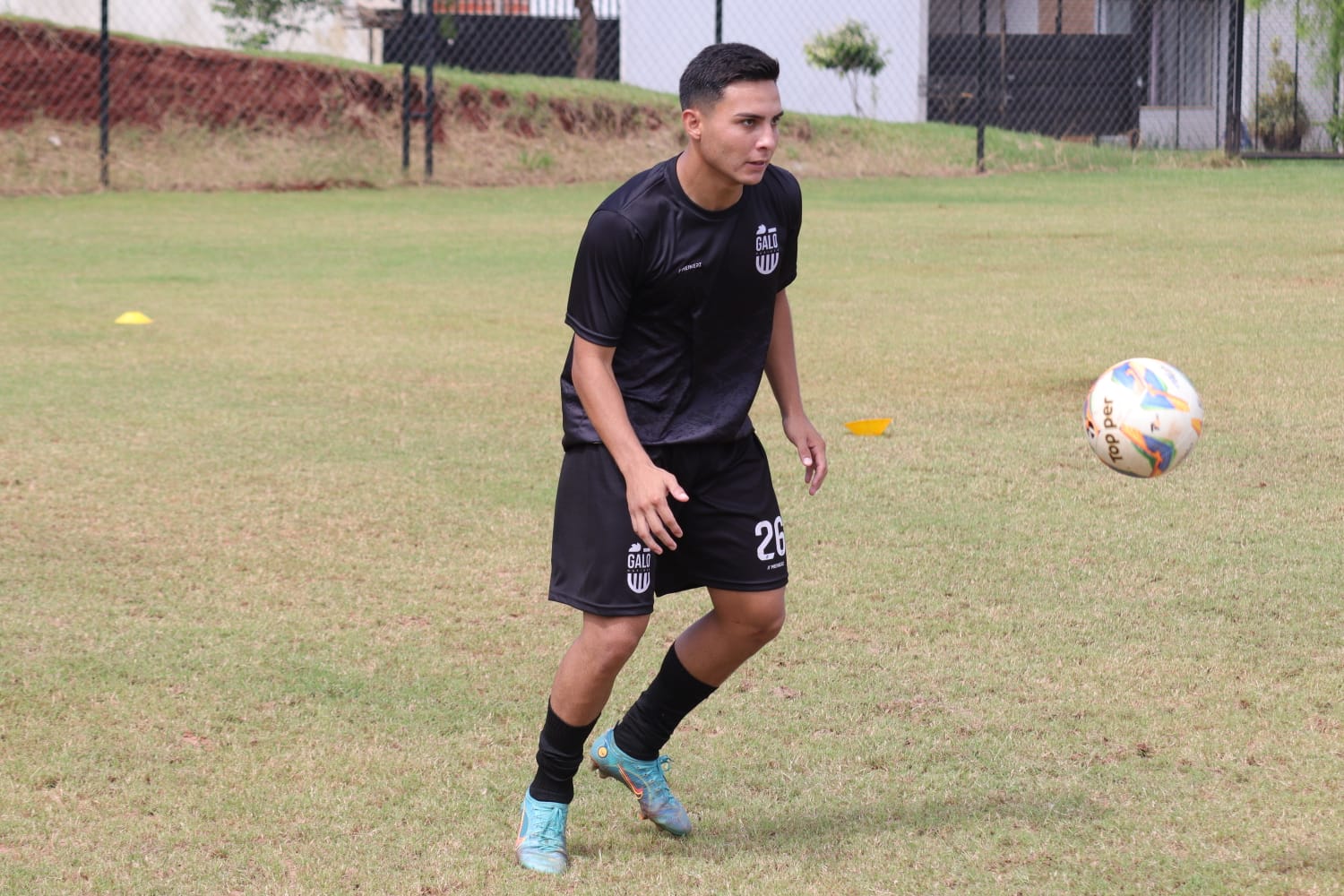 Galo Maringá anuncia primeiros reforços para a Divisão de Acesso 2025