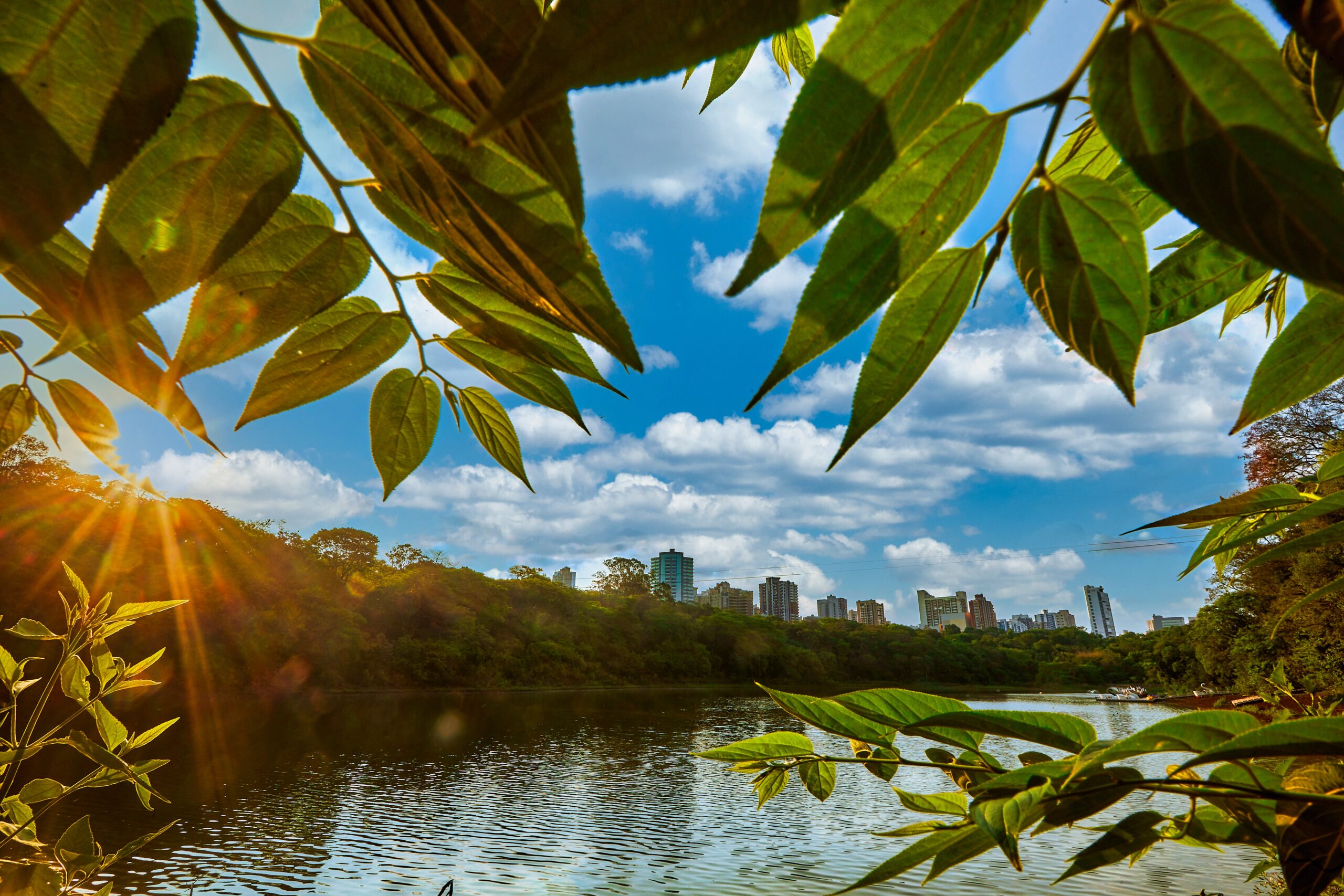 Deputado Delegado Jacovós(PL) desconhece lei? Secar lago do Parque do Ingá pode ser crime ambiental