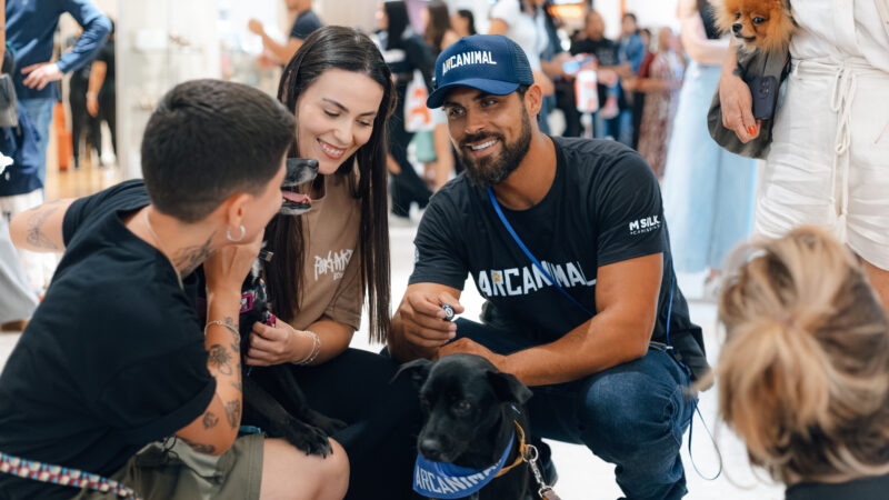 Curitiba recebe evento de adoção de animais