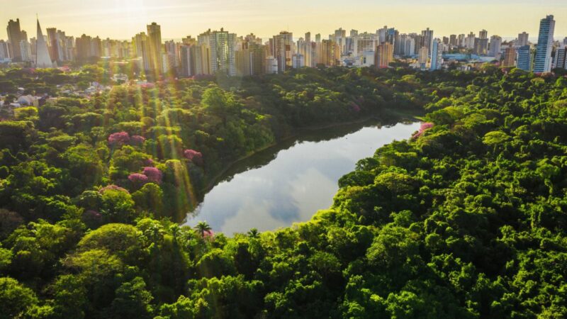 Gestão Ulisses Maia/Scabora  publica licitação de obras que vão garantir retomada do nível do lago do Parque do Ingá