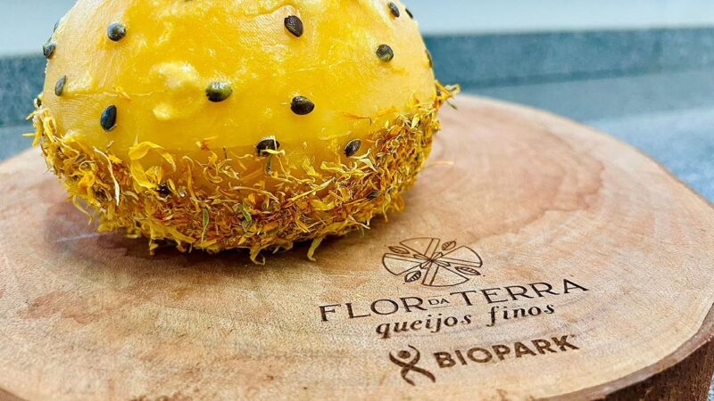 10 curiosidades surpreendentes sobre o alimento mais versátil do mundo