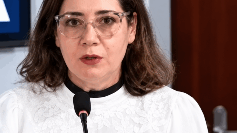 “Estão agindo que nem moleque”, diz promotora a vereadores de São Jorge do Ivaí