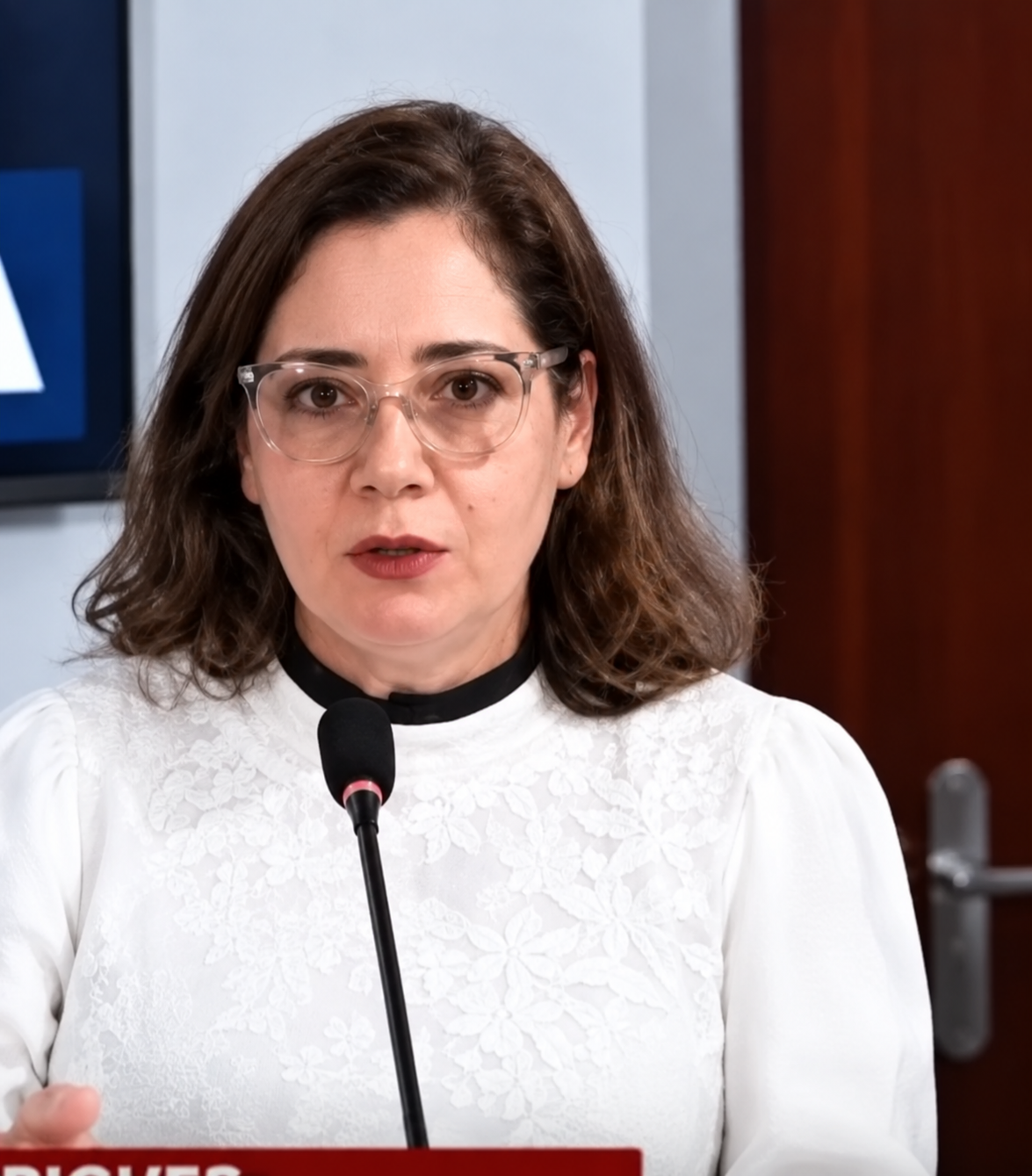 “Estão agindo que nem moleque”, diz promotora a vereadores de São Jorge do Ivaí