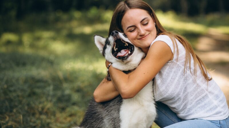 RPC lança ferramenta para ajudar a encontrar pets perdidos