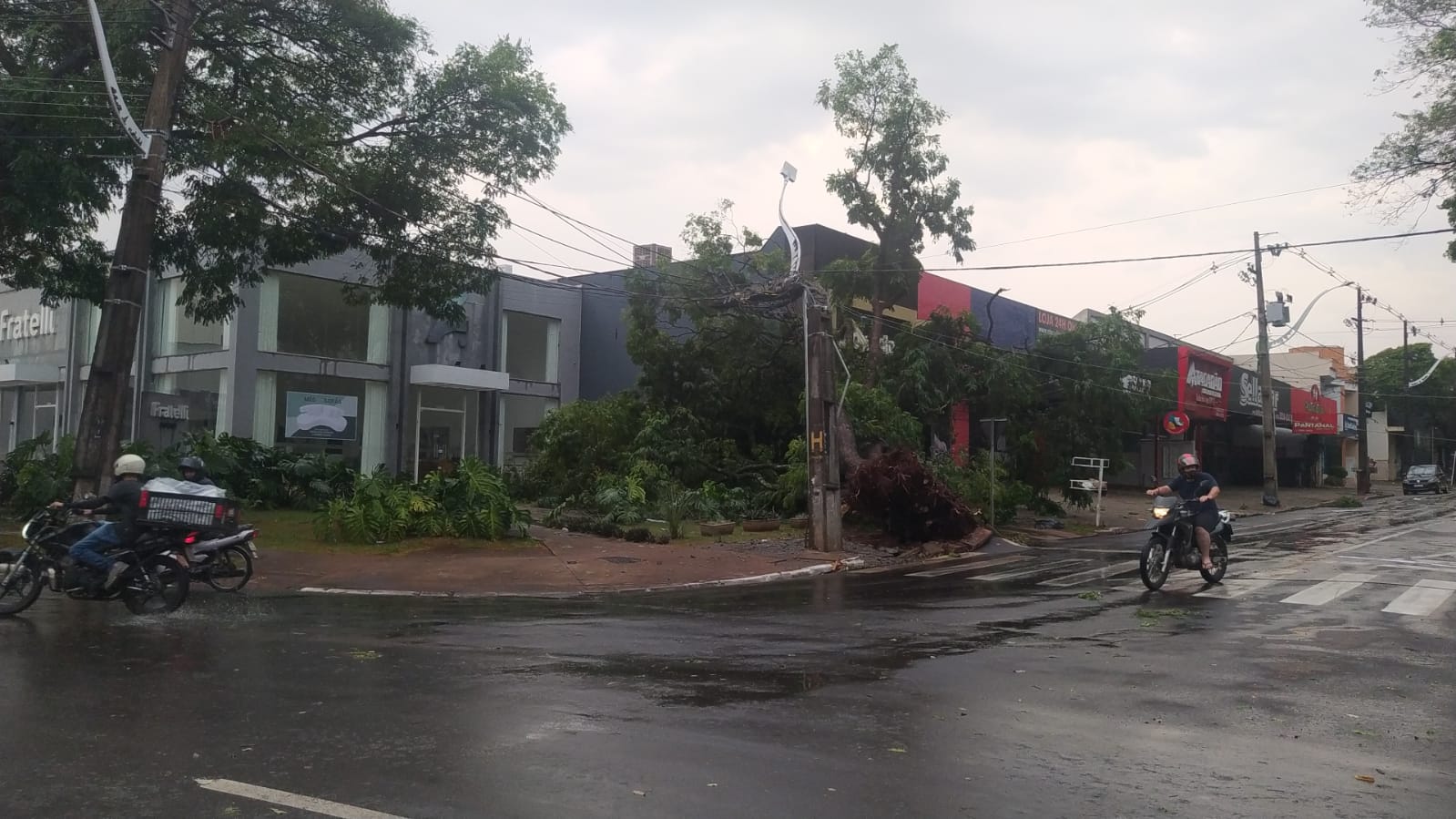 Em Maringá, rajadas de vento de mais de 110 km/h foram registradas