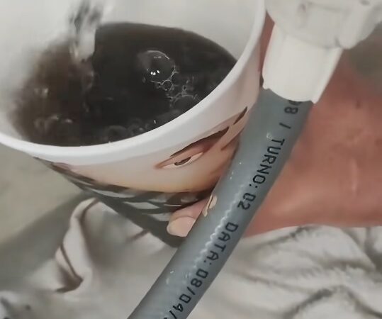 Método Paraná: Esse é o exemplo que Ratinho Junior quer dar ao Brasil?