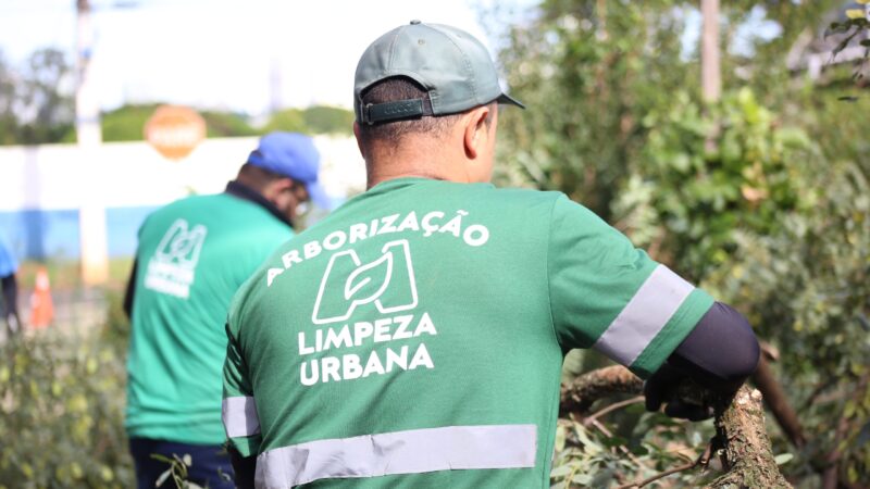 Gestão Silvio Barros/ Sandra Jacovós intensifica serviços de arborização na Avenida Mandacaru neste domingo