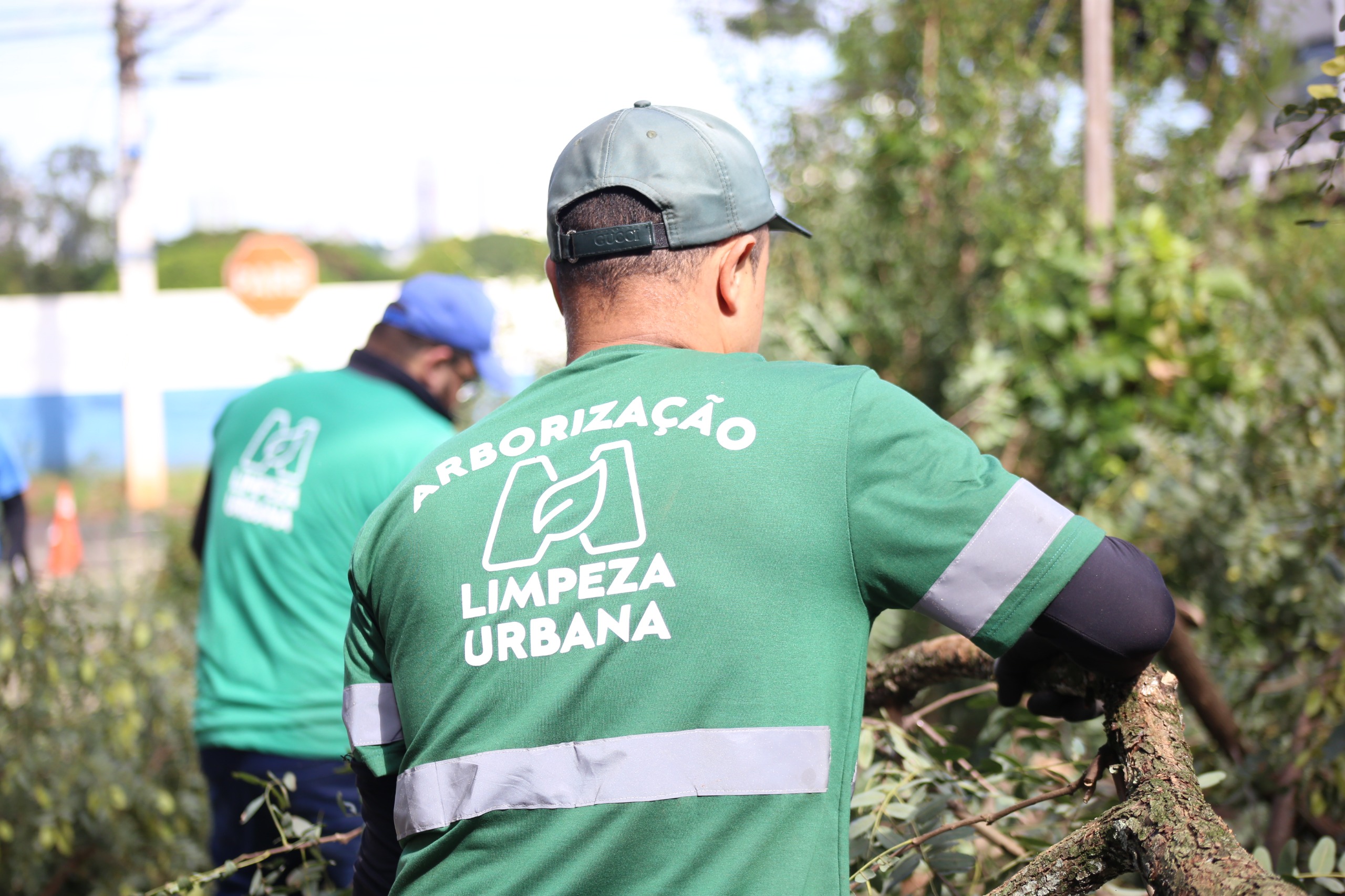 Gestão Silvio Barros/ Sandra Jacovós intensifica serviços de arborização na Avenida Mandacaru neste domingo