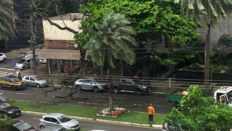 Maringá sob ventos intensos: rajadas superam 90 km/h nesta sexta-feira