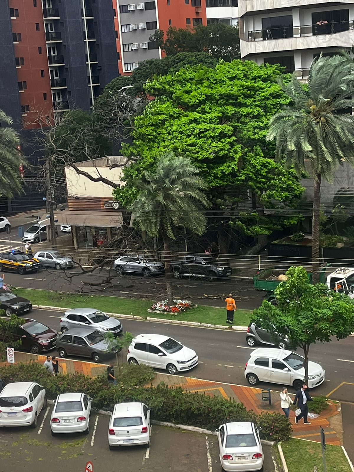 Maringá sob ventos intensos: rajadas superam 90 km/h nesta sexta-feira