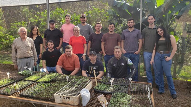 Hortaliças cultivadas por alunos da Universidade Unopar Anhanguera beneficiam comunidades carentes