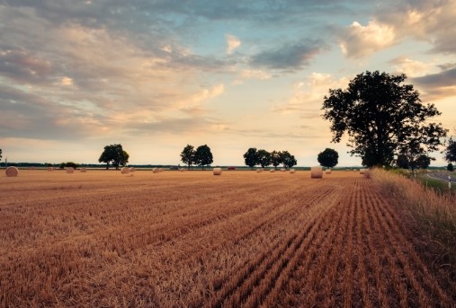 Mudanças climáticas afetam negativamente a agricultura, alerta especialista