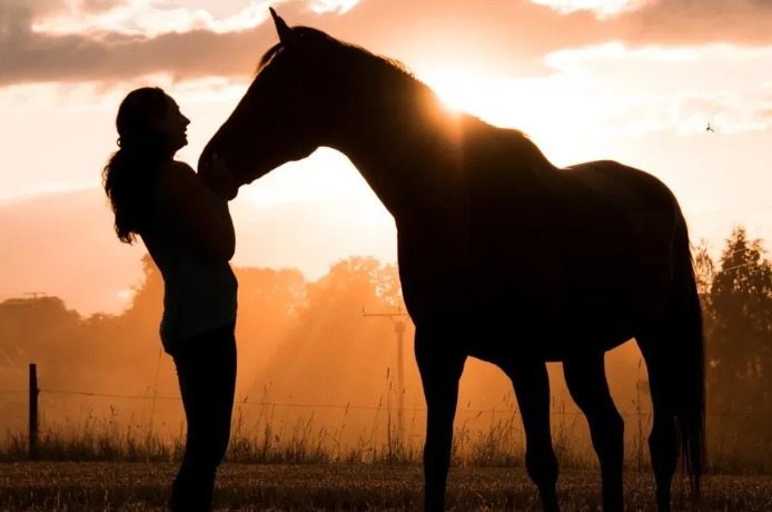 Nova estrutura de Equoterapia promete transformar vidas em Marialva