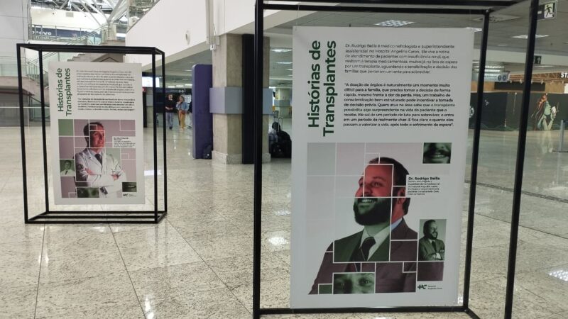 Exposição no Aeroporto Afonso Pena transforma espera por transplantes em 5 mil tsurus