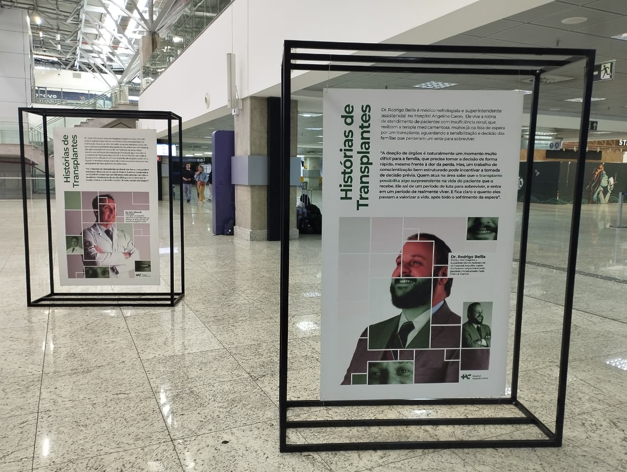 Exposição no Aeroporto Afonso Pena transforma espera por transplantes em 5 mil tsurus