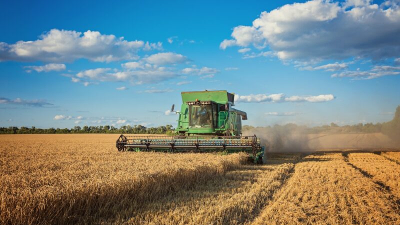 Data para renegociação de dívidas agrícolas é prorrogada