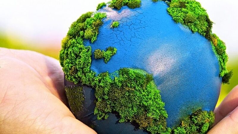 ESG é uma estratégia rentável e sustentável