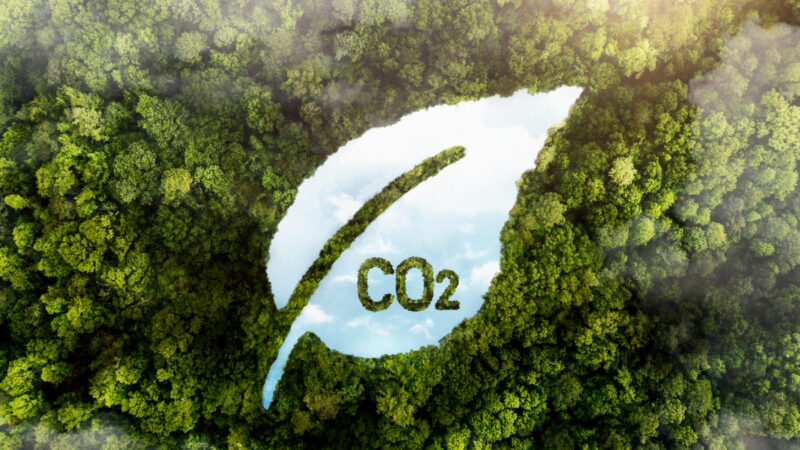 Crédito de carbono de alta qualidade sobe 75%, diz MSCI