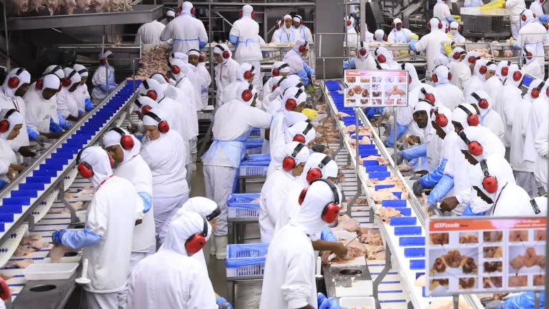 Exportações brasileiras de carne de frango crescem 3% e alcançam novo recorde