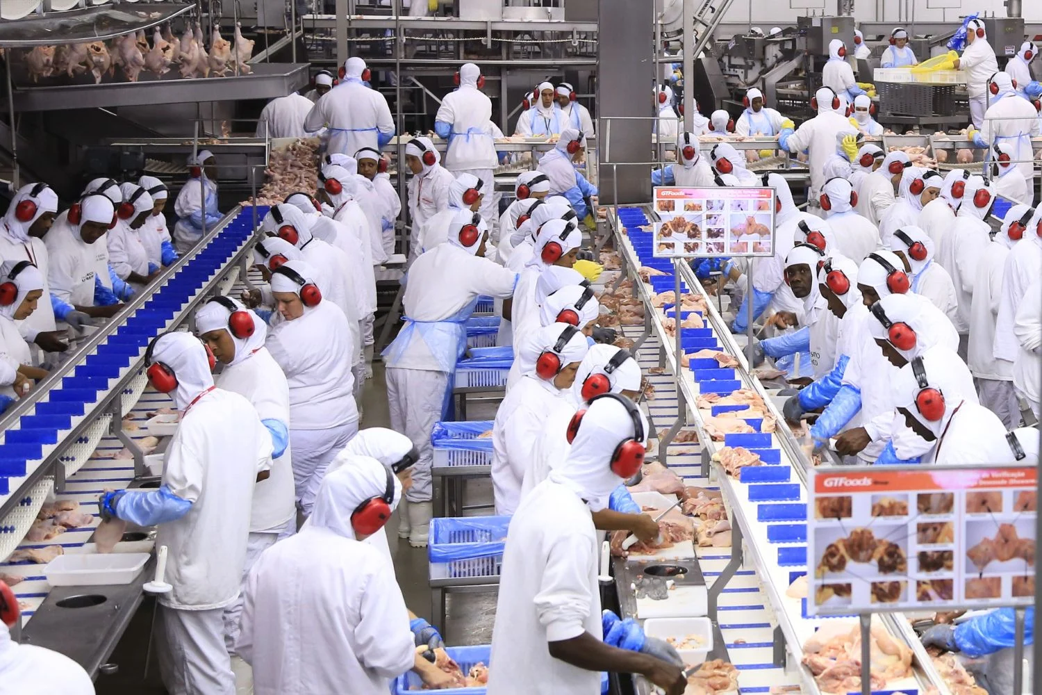 Exportações brasileiras de carne de frango crescem 3% e alcançam novo recorde