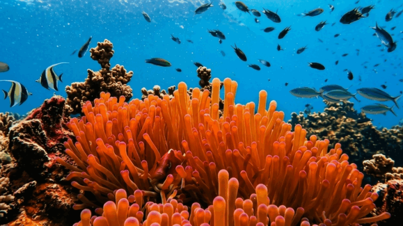 EcoRodovias testa energia do mar em rodovias