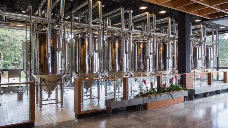 Novo site de empresa de bebidas é criado por jovens talentos