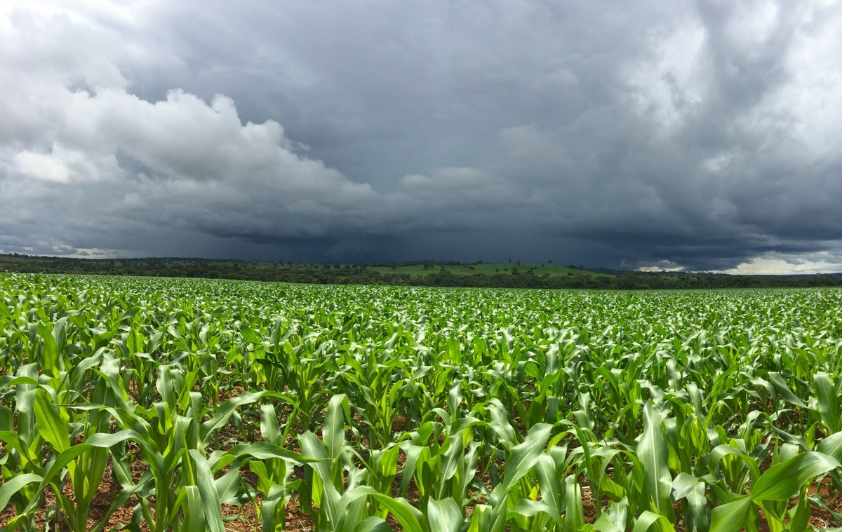 El Niño forte aumenta risco para o agronegócio