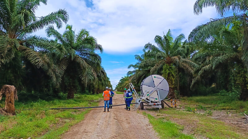 Grupo BBF desenvolve projeto de adubação sustentável no Pará