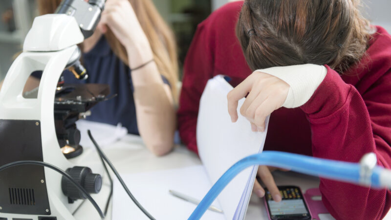 PL sobre celulares nas escolas vai além da proibição