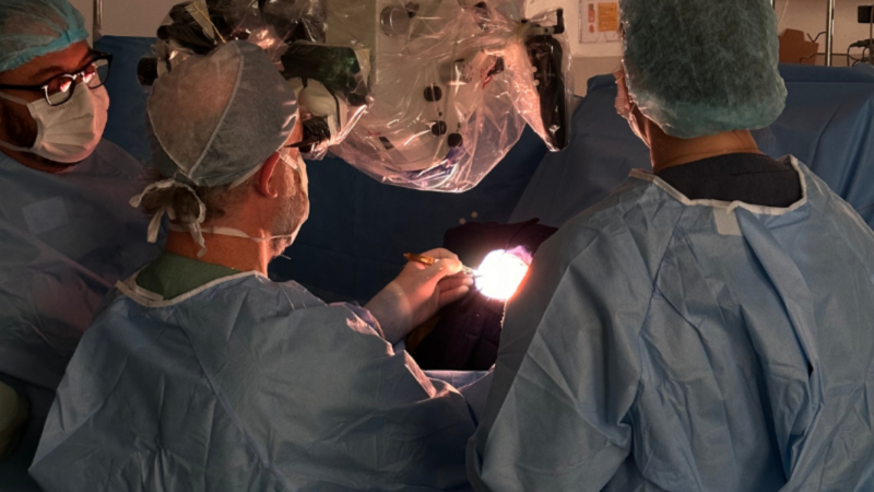 Cirurgia ao vivo é destaque do Neuro University Summit 2026