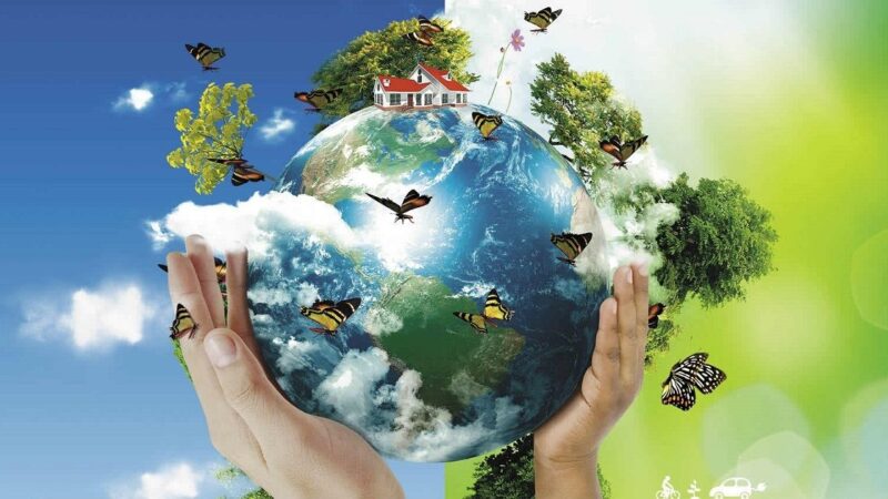 Dia Mundial do Meio Ambiente é comemorado em 5 de junho