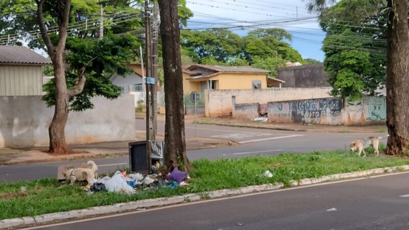 Respeitar o espaço público não é gentileza, é dever