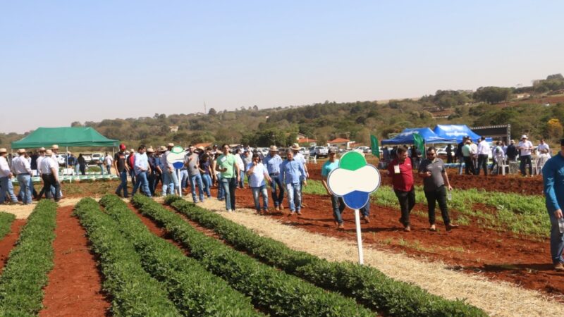 Feira Nacional do Amendoim começa neste dia 7 de agosto