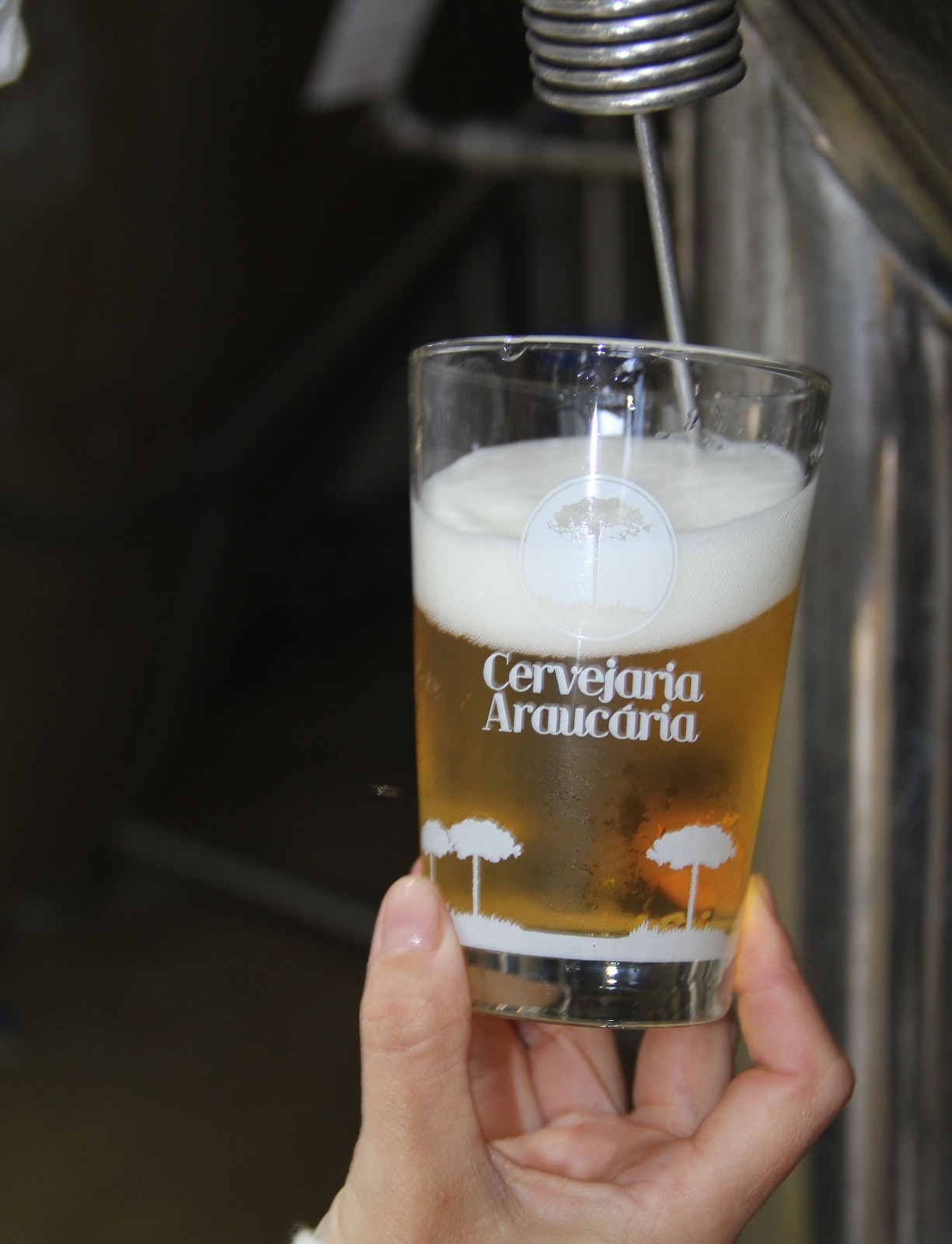 Araucária apresenta a melhor cerveja do Brasil