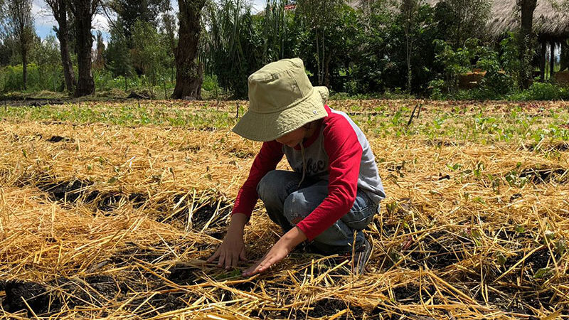 Cinco cantinhos pouco conhecidos na Cidade do México