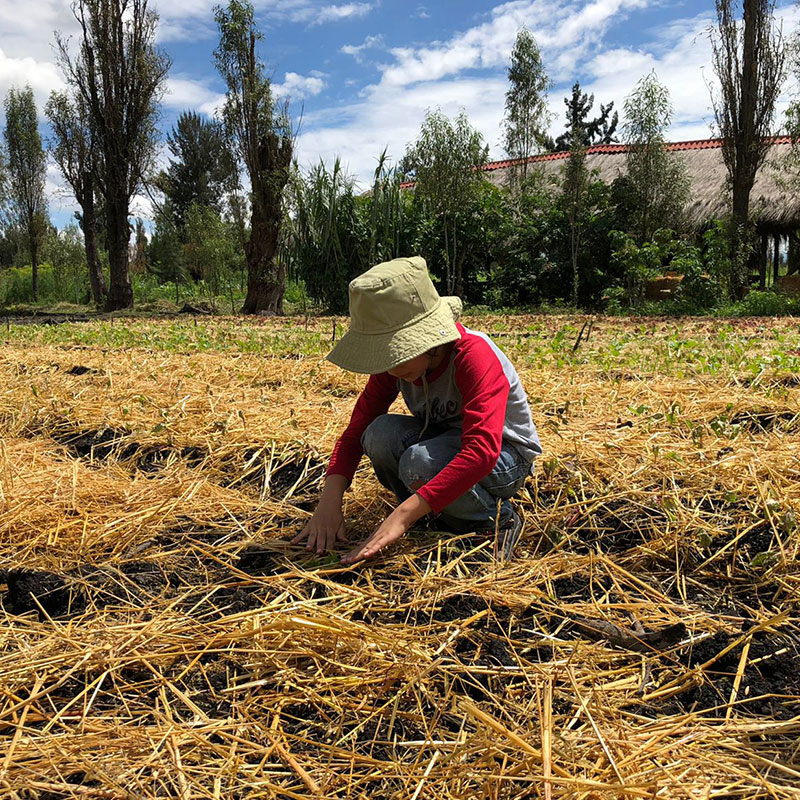 Cinco cantinhos pouco conhecidos na Cidade do México