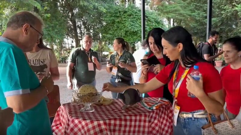 Biopark lidera revolução do “queijo autoral” e transforma o Paraná em referência de alto valor agregado