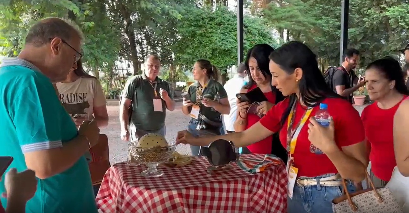 Biopark lidera revolução do “queijo autoral” e transforma o Paraná em referência de alto valor agregado