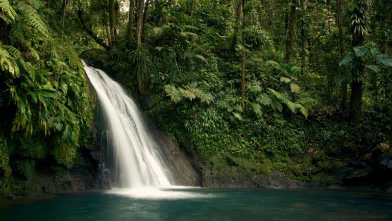 Ecoturismo combina contato com a natureza e sustentabilidade
